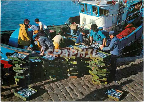 Cartes postales moderne La Bretagne Pittoresque Dechargement de la Sardigne Bateaux de peche