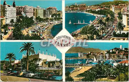 Cartes postales moderne Souvenir de la Cannes Cote d'Azur