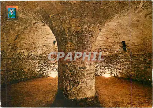 Cartes postales moderne Abbaye de St Michel de Cuxa (Xe S) Art et Couleurs du Conflent La Crypte (XIe S)