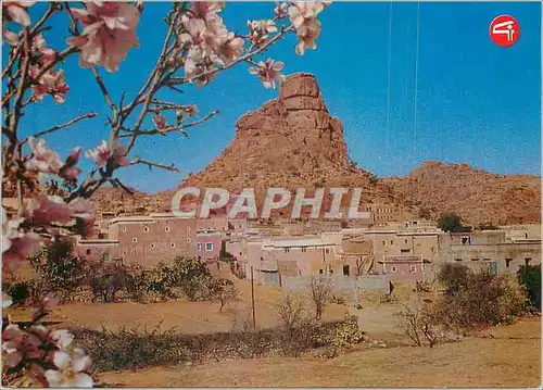 Cartes postales moderne Tafraout Maroc Vue Panoramique