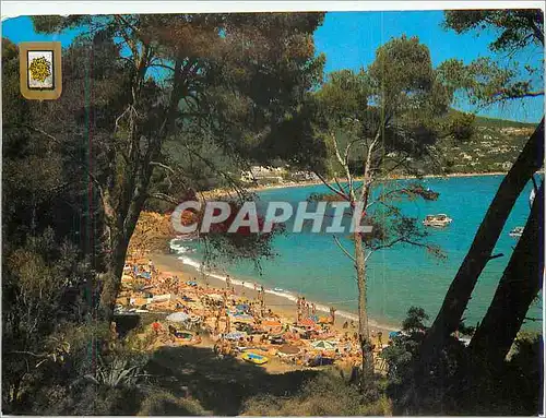 Cartes postales moderne Var Mediterranee au Rivage sans Nuage Plage au Reflets d'Or