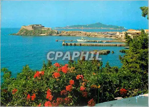 Cartes postales moderne Giens (Var) La Cote d'Azur L'Embarcadere a la Tour Fondue et l'Ile du Grand Ribaud