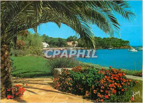Cartes postales moderne Ile de Porquerolles (Var) La Cote d'Azur Le Port