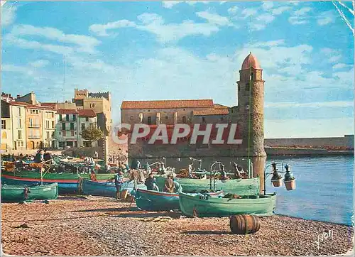 Cartes postales moderne Collioure (Pyrenees Orientales) Couleurs et Lumiere de France Le Port des Pecheurs Bateaux