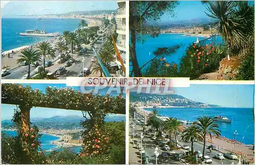 Cartes postales moderne Souvenir de Nice