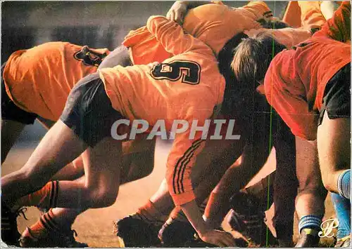 Cartes postales moderne Prestige Languedoc Rugby