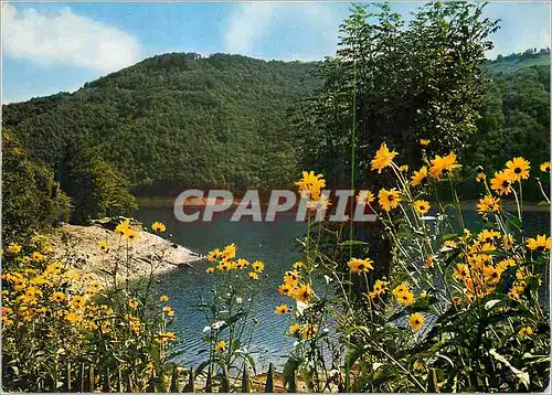 Cartes postales moderne Vallee de la Truyere a la Presqu'Ile de Laussac