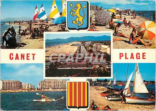 Cartes postales moderne Canet Plage (Pyrenees Orientales) la Cote Vermeille au Pied des Alberes la Mer le Soleil et le S