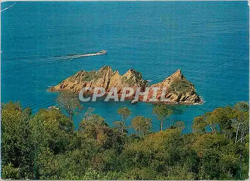 Cartes postales moderne Ile de Port Cros Ile du Rascas