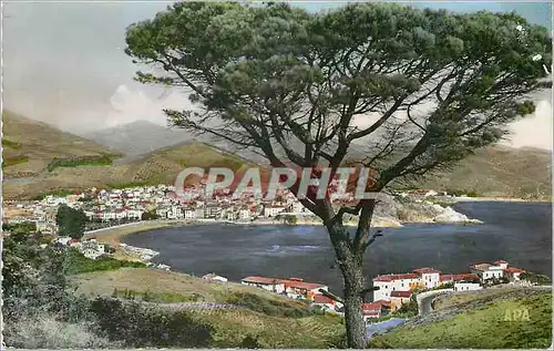 Cartes postales moderne Banyuls sur Mer (Pyr Or) Vue Generale sur la Ville la Plage et la Baie en Parcourant la Cote Ver