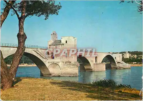Cartes postales moderne Avignon (Vaucluse) le Pont Saint Benezet