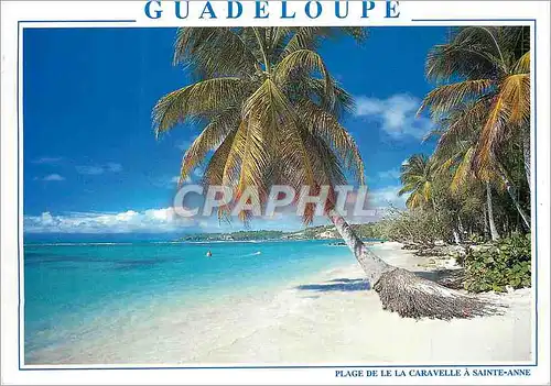 Moderne Karte Guadeloupe Antilles Fracaises Sainte Anne Plage de la Caravelle