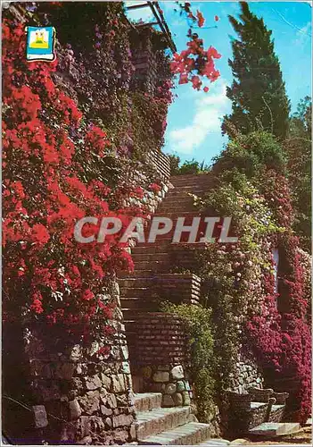 Cartes postales moderne Malaga Forteresse de l'Alcazaba Jardins