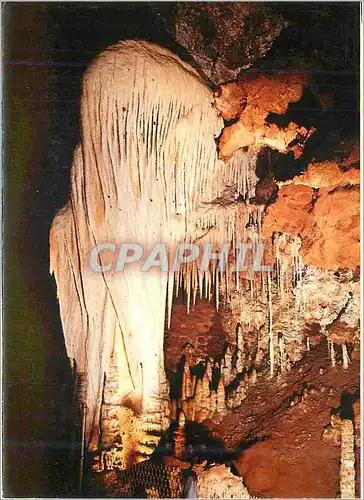 Cartes postales moderne Grotte de Clamouse la Premiere Partie Appelee Labyrinthe a un Caractere Extraordinaire ou tout e