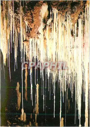 Cartes postales moderne Du Point de Vue Concretions Clamouse Presente une Variete une Diversite et une Abondance