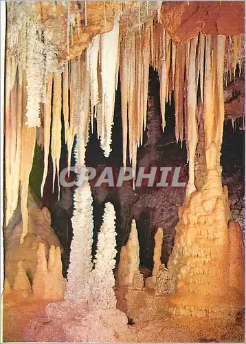 Cartes postales moderne Grotte de Clamouse les Formes les plus Extraordinaires qui ne sauraient se Decrire en Detail Orn