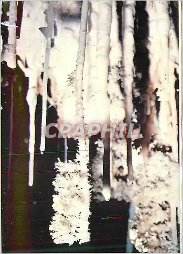 Cartes postales moderne A Clamouse on Rencontre des Disques Suspendus au Plafond