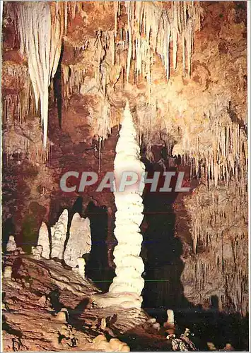 Cartes postales moderne Grotte de Clamouse les Cristaux en Forme d'Aiguilles Semblables a de la Dentelle a des Amas d'Ou