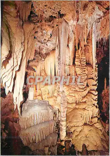 Cartes postales moderne Clamouse Grotte Prestigieuse est Ouverte pour vous Toute l'annee en Languedoc Roussillon France