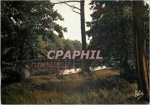 Cartes postales moderne Mimizan (Landes) la Passerelle sur le Lac d'Aureilhan