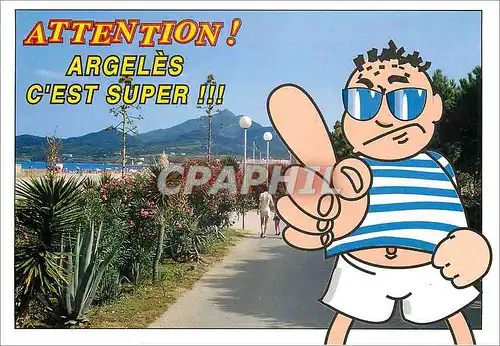 Cartes postales moderne Argeles Plage (Pyrenees Orientales) la Cote Vermeille