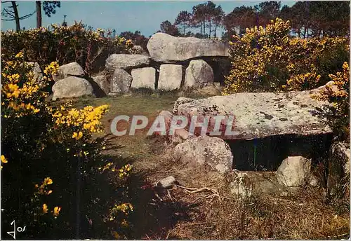 Cartes postales moderne La Bretagne en Couleurs Monuments Megalithiques de Mane Kerioned pres de Carnac