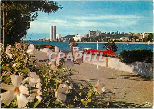 Cartes postales moderne Vichy (Allier) Station Ideale Sante Vacances le Lac d'Allier et la Promenade des Quais