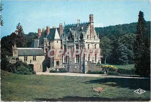 Cartes postales moderne Parc Zoologique de Cleres (Seine Maritime) un Emeu devant le Chateau
