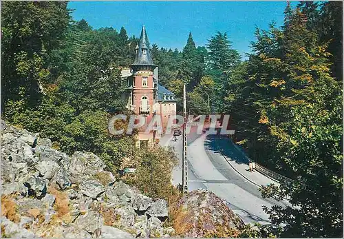 Cartes postales moderne Station Thermale de Bagnoles de l'Orne (Orne) le Roc au Chien