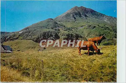 Cartes postales moderne Le Puy Mary (1787 m) Les Beaux Sites du Cantal Le Buron des Lacs