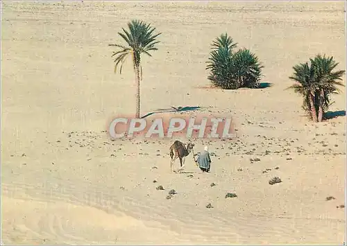 Cartes postales moderne Sud Tunisien Vers le Sahara