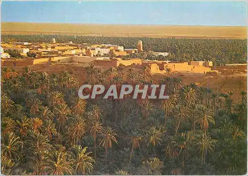 Cartes postales moderne Nefta (Tunisie) Vue Generale