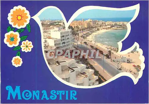 Cartes postales moderne Monastir