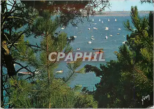 Cartes postales moderne Bassin d'Arcachon (Gironde) Couleurs et Lumiere de France Un tres Joli Coin du Bassin pres de la