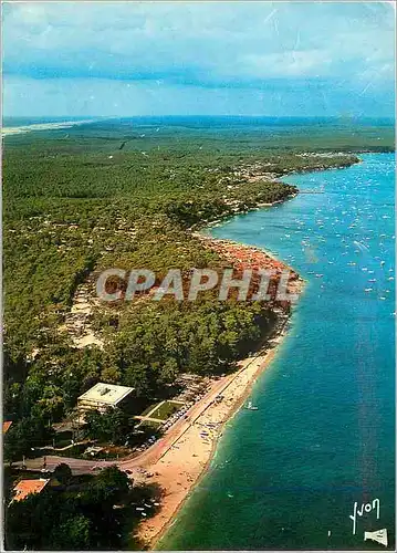 Cartes postales moderne L'Herbe (Gironde) Bassin d'Arcachon Couleurs et Lumiere de France Vue d'ensemble au fond le Cano