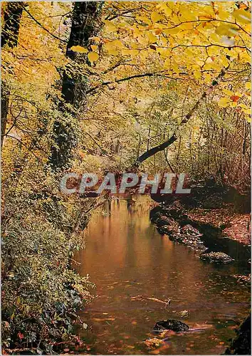 Cartes postales moderne Huelgoat Couleurs de Bretagne La Riviere d'argent a l'automne