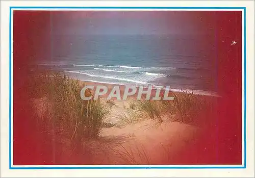 Cartes postales moderne Les dunes au Bord de l'Ocean