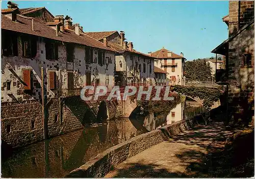 Cartes postales moderne St Jean Pied de Port (Pyrennees Atlantiques) Vieilles Maisons sur la Nive