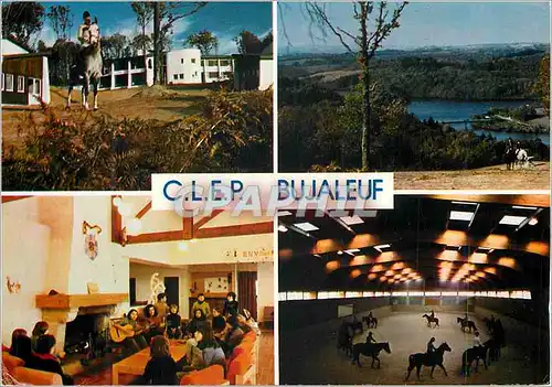 Cartes postales moderne Bujaleuf Centre de Loisirs Equestres Permanent Les Hauts de Bujaleuf Chevaux