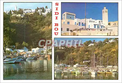 Cartes postales moderne Sidi Bou