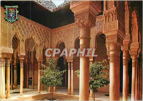 Cartes postales moderne Granada Alhambra Colonnes et Arcades Cour des Lions