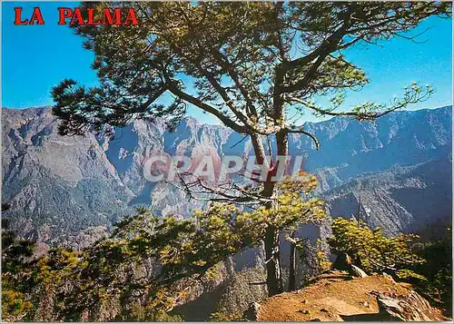 Cartes postales moderne La Palma (Canarias) Caldera de Taburiente Vue partielle depuis las Chozas