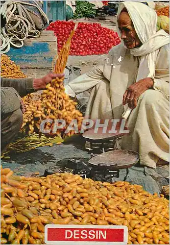 Cartes postales moderne Le Marchant Afrique du Nord