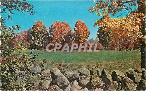 Cartes postales moderne Rock Wall and Fall Foliage A Perfect Combination of two New England Trademarks