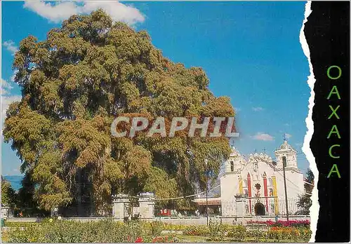 Cartes postales moderne Oaxaca Mexico