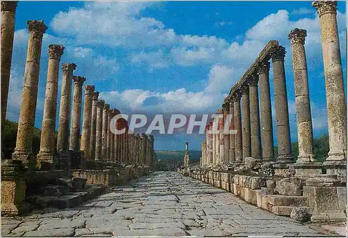 Cartes postales moderne Jerash The Street of Columns