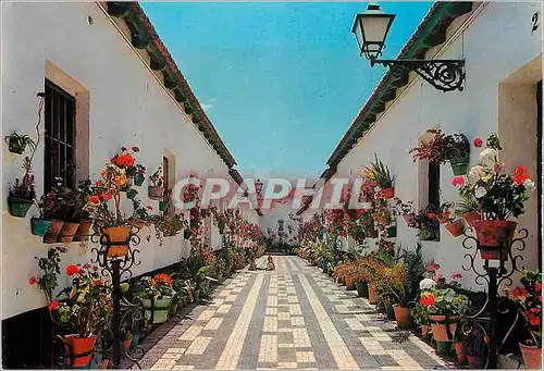 Cartes postales moderne Malaga Rue Tipique