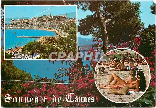 Cartes postales moderne Souvenir de Cannes Au Soleil de la Cote d'Azur