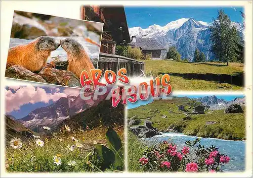 Cartes postales moderne Gros Bisous