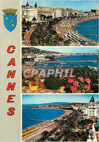 Cartes postales moderne Cannes la Cote d'Azur la Croisette et la Plage le Port la Croisette et le Suquet